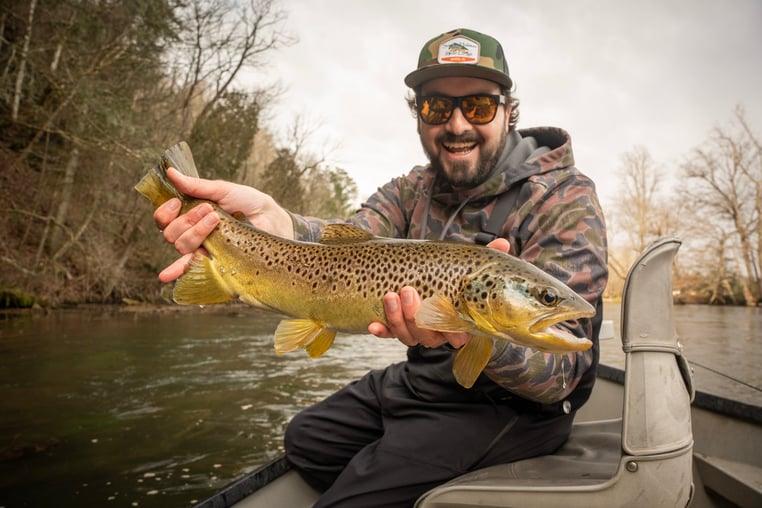 Big Brown trout in February on the South Holston River in Tennessee