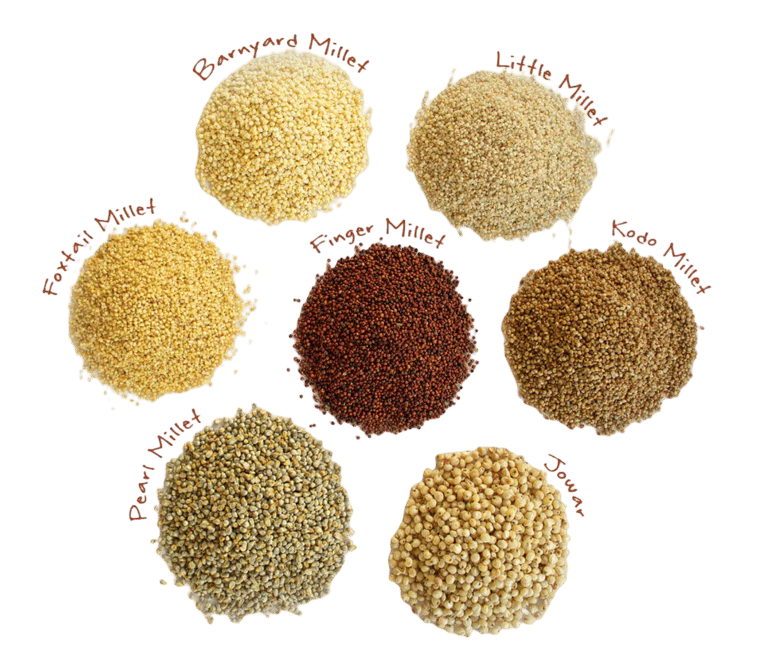 Millets trader