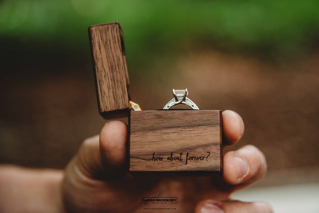engagement proposal photographer norwich norfolk tetford forest bury st edmunds ipswich suffolk
