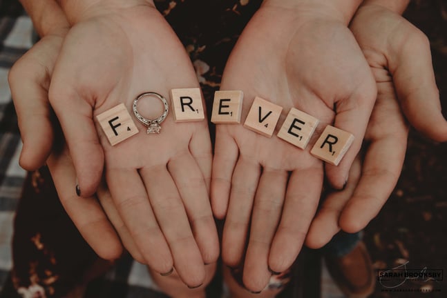 engagement proposal photographer norwich norfolk tetford forest bury st edmunds ipswich suffolk