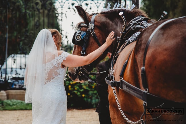 lynford hall hotel wedding photography packages deals wedding prices wedding day