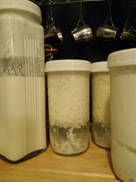 Homemade Kefir Made every morning.
