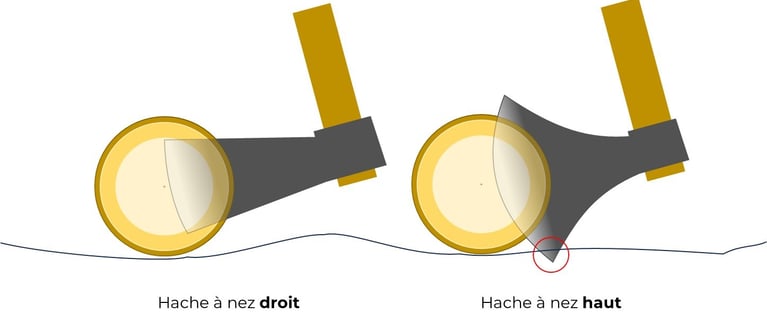 Comparaison de hache pour sectionner des troncs au sol