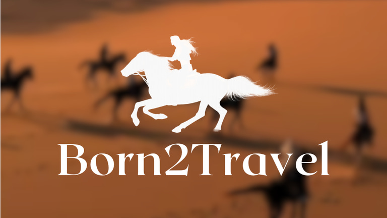 born2travel logo