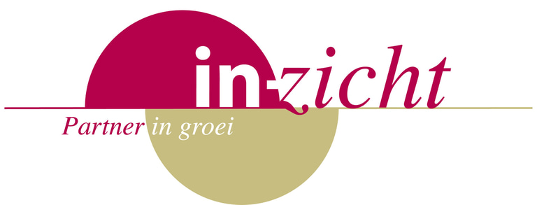 In-Zicht logo