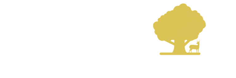 Building Control Management logo