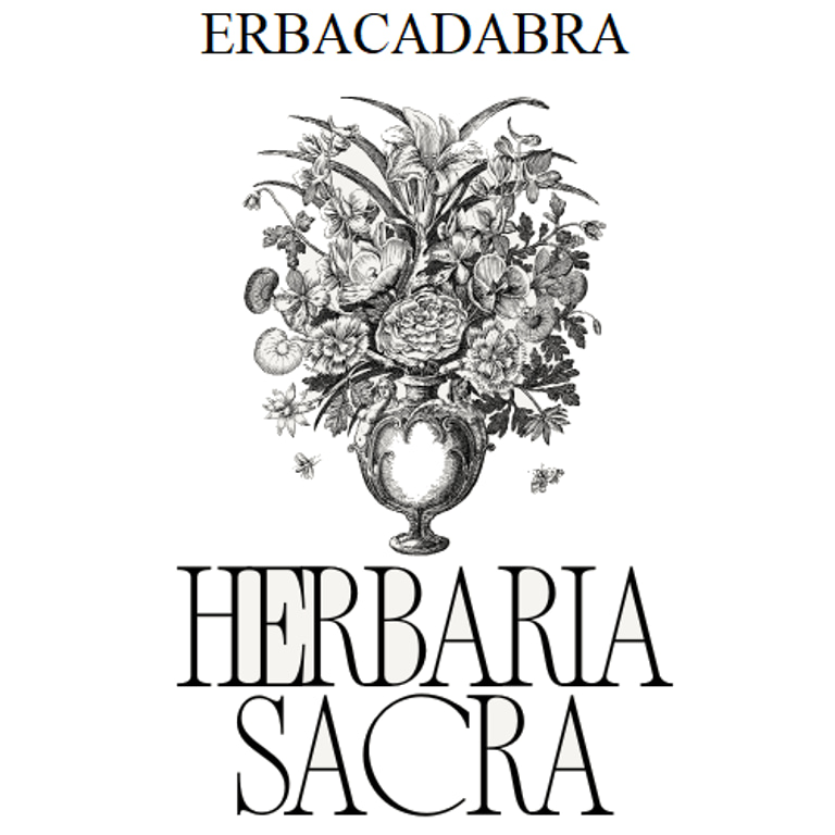 Luana Ambrosino logo