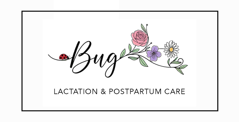 Bug Lactation & Postpartum Care logo