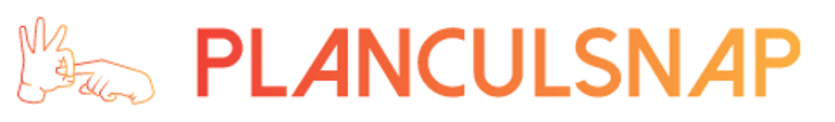 Plan Cul Snap logo
