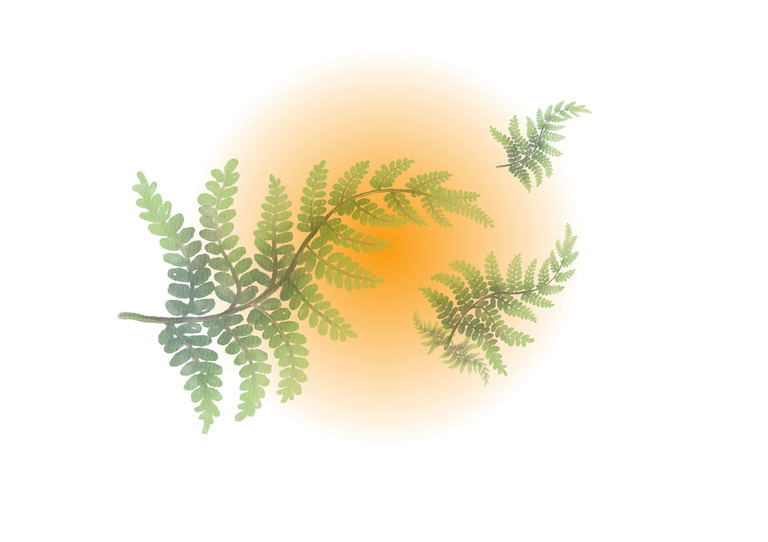 Accompagner à domicile autrement logo