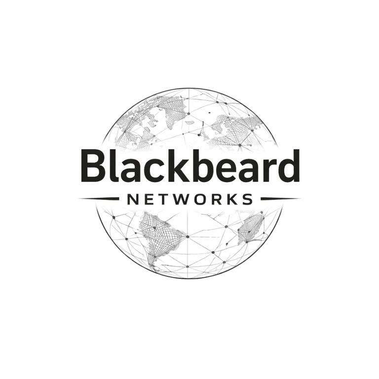 Network Consultant logo
