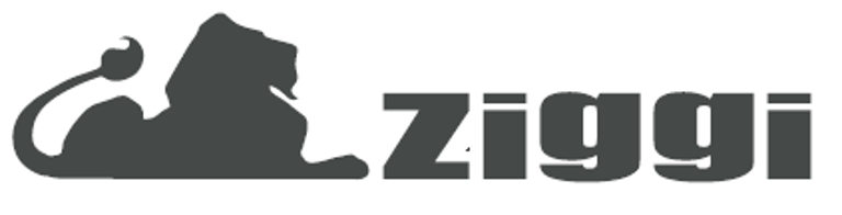 ZIGGI MOROCCO logo