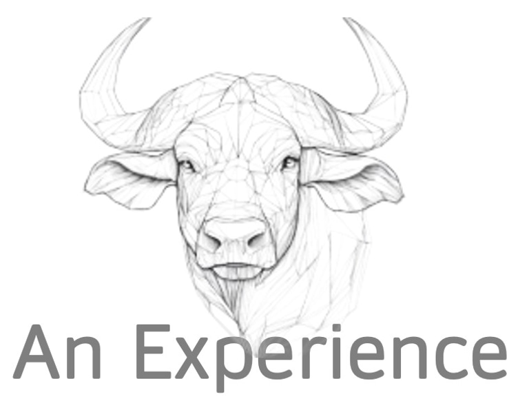 An Experience logo