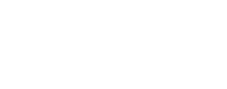 Naru logo