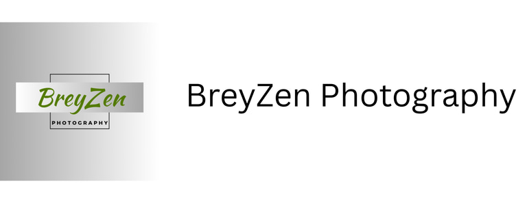 BreyZen Photography logo