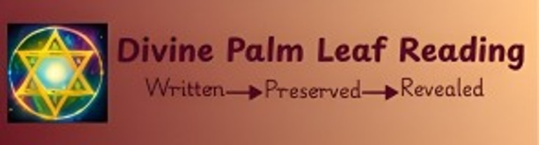 Divine Palm Leaf Reading logo