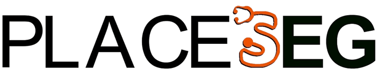 PLACESEG - Especialista em consultoria de SESMT logo