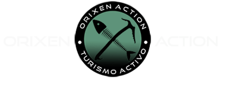 Orixen Action logo