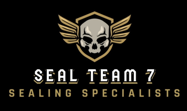 Sunshine Seal & Wash logo