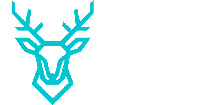 Cirvos logo