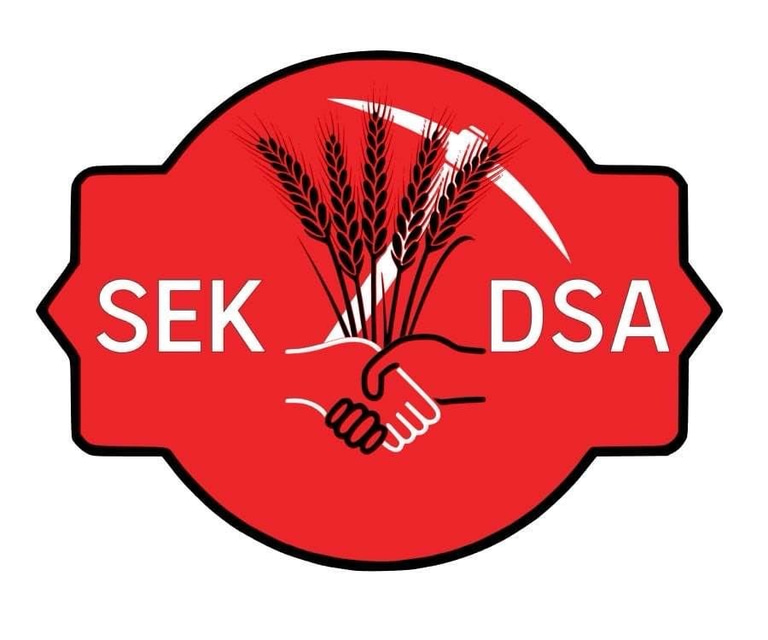 SEK DSA logo