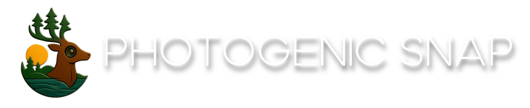 Photogenic Snap logo