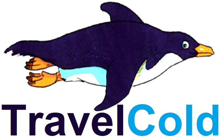 TravelCold International logo