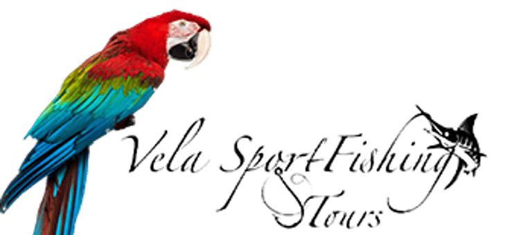 Vela sport Fishing & Tours logo