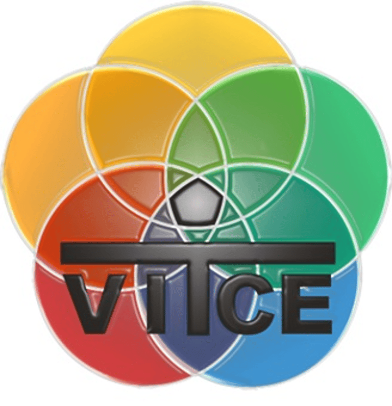 VITCE EVOLUÇÃO EMPRESARIAL logo