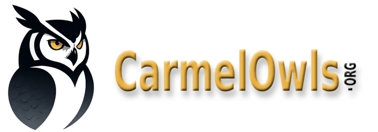 Carmel Owls logo