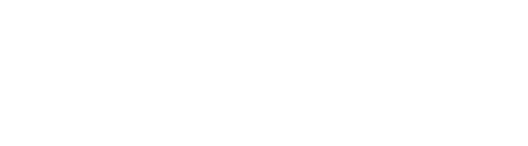 Choiseul Executive, cabinet expert en recrutement de cadres et dirigeants logo