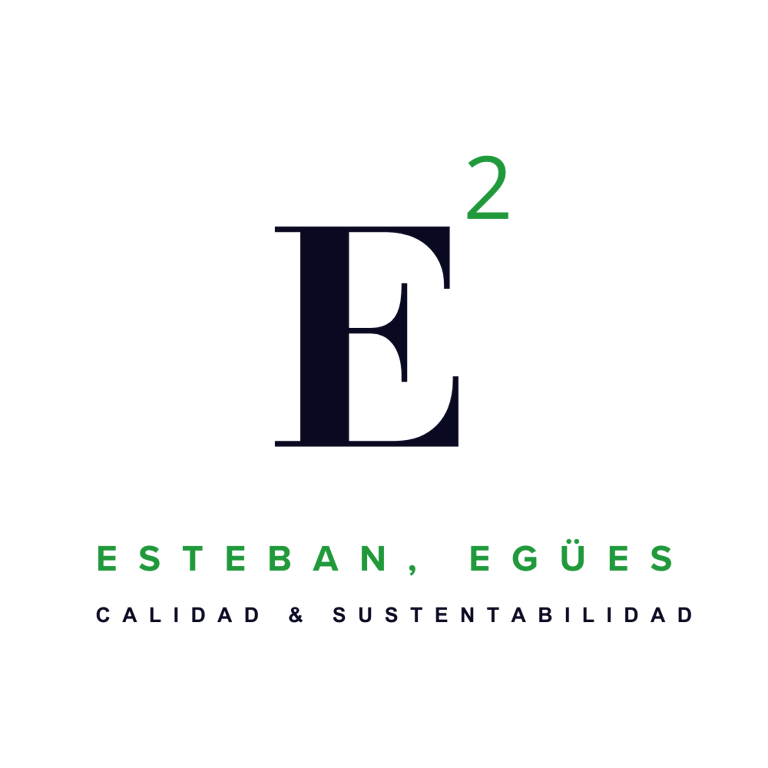 Esteban Egües Consultora logo