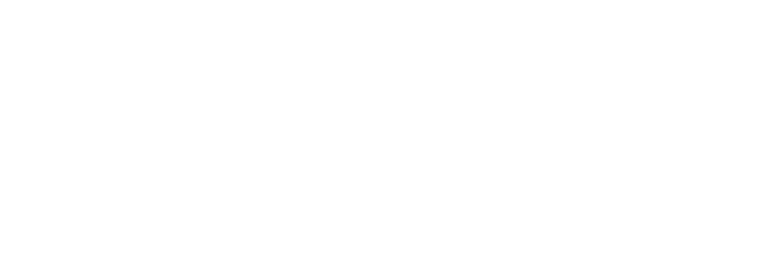 Nancy Jo Foundation logo