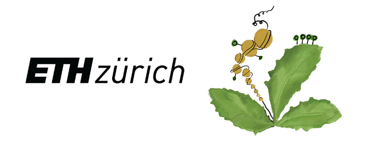 Epigenome diversity logo