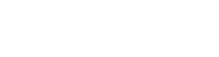 Dragonfly logo