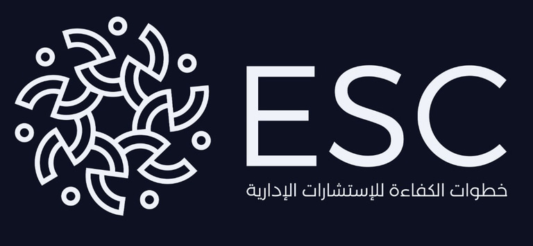 Efficiency Steps Consulting logo