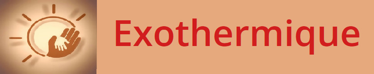 Exothermique.com logo