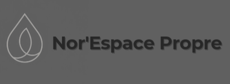 Nor'Espace propre logo