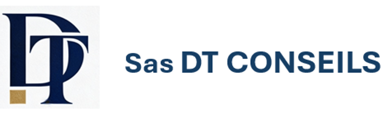 DT CONSEILS logo
