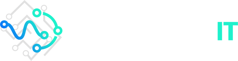 DS Media & IT logo