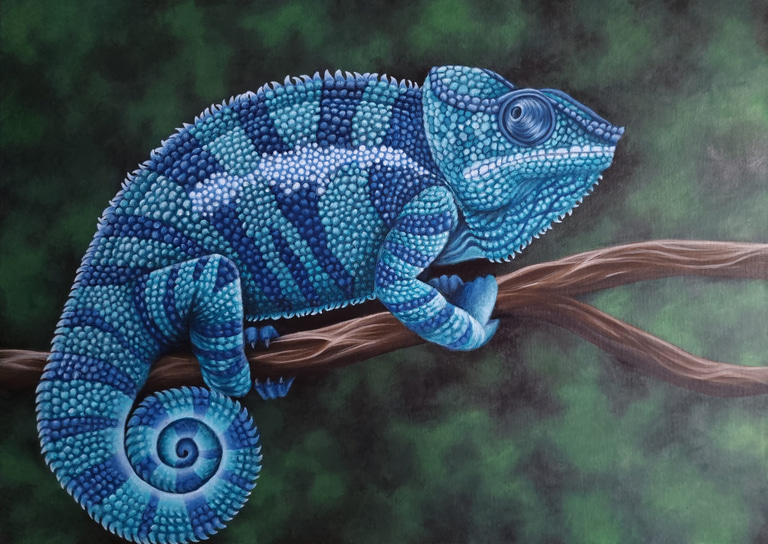 chameleon adventure group logo