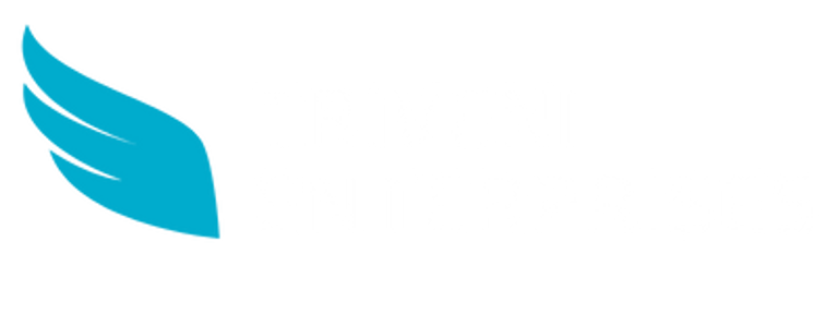 Triveni Enterprises logo