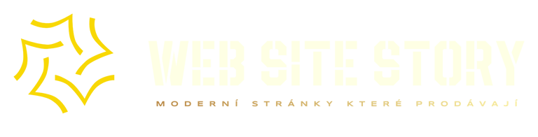 Web Site Story logo