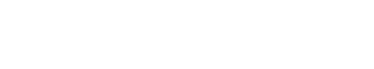 Neripay solutions logo