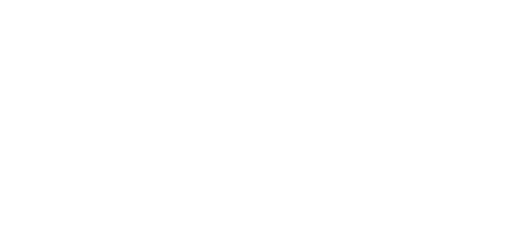 First Look Visual Marketing logo