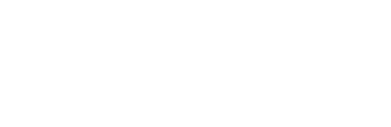 SnuffleSoft logo