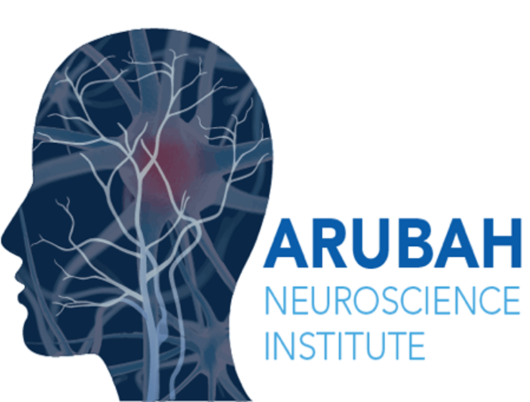 Arubah Neuroscience Institute logo