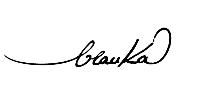 Heritage Insight logo