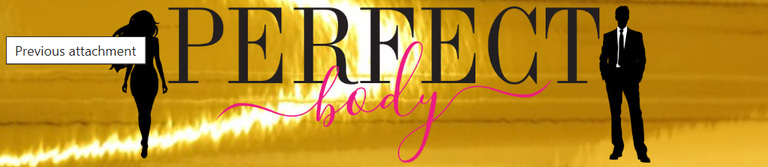 PERFECT Body logo