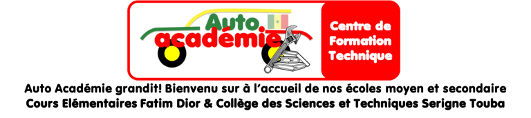 College des Sciences et Techniques Serigne Touba de Keur Massar logo